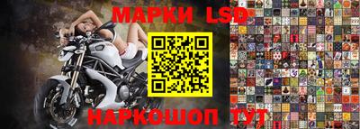 крисы Будённовск