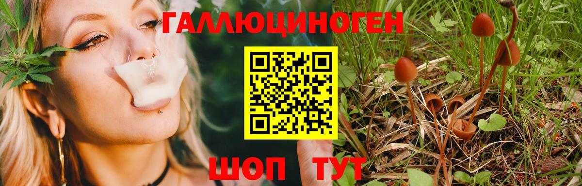Слободской  Псилоцибиновые грибы MAGIC MUSHROOMS  Галлюциногенные грибы прущие грибы  Вход с VPN 